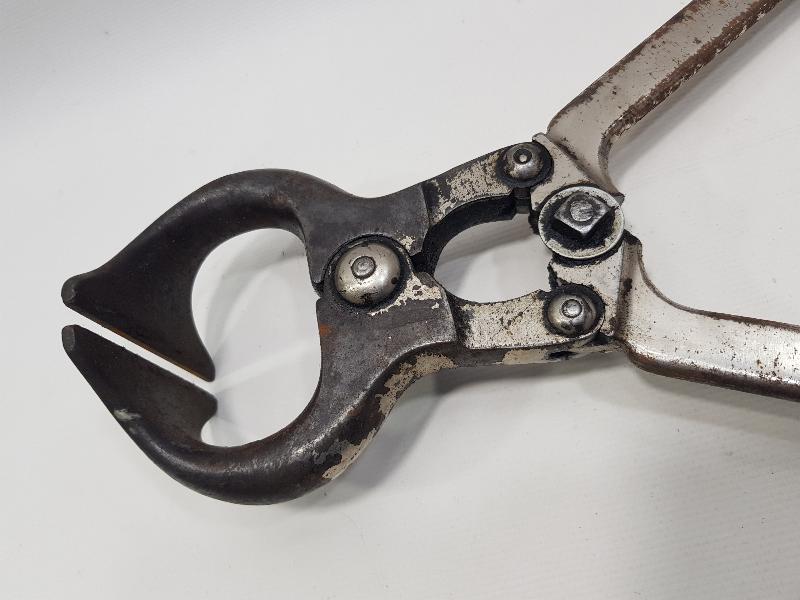 VETERİNER TARİHİ: ANTİKA DEV BOY KASTRASYON ALETİ 