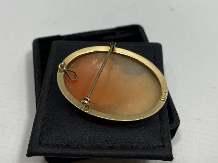 18 AYAR ALTIN KAMEO KOLYE - BROŞ