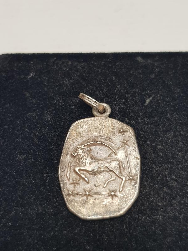 OĞLAK BURCU GÜMÜŞ KOLYE UCU