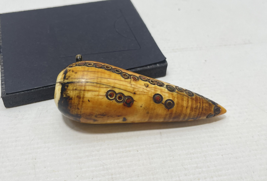 OSMANLI DÖNEMİ ÇOK NADİR MORS DİŞİ SÜRMEDAN