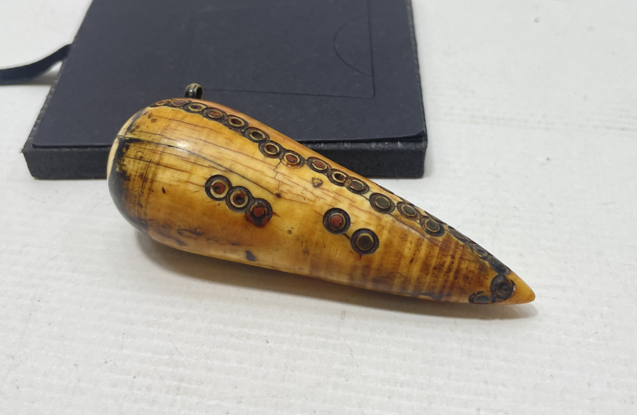 OSMANLI DÖNEMİ ÇOK NADİR MORS DİŞİ SÜRMEDAN