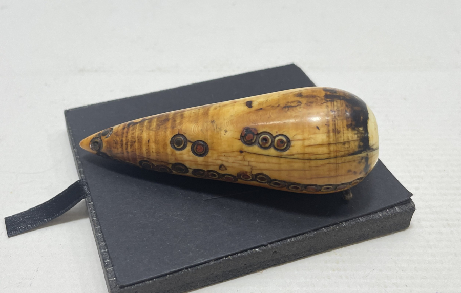 OSMANLI DÖNEMİ ÇOK NADİR MORS DİŞİ SÜRMEDAN