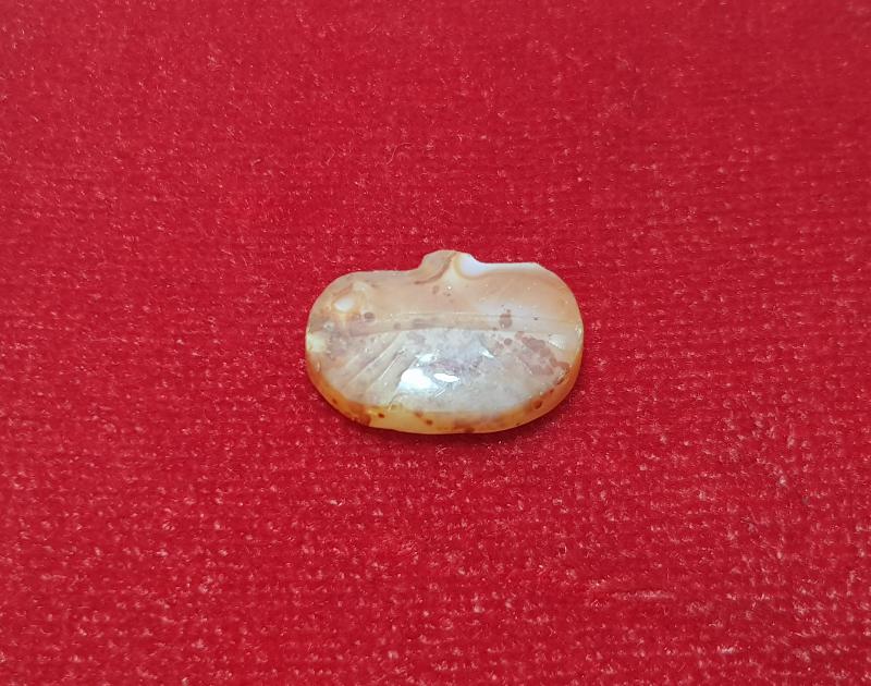 OSMANLI DÖNEMİ AKİK DERVİŞ TAKISI