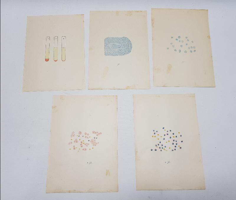 OSMANLICA TIP KİTABI: DAHİLİYE HASTALIKLARI