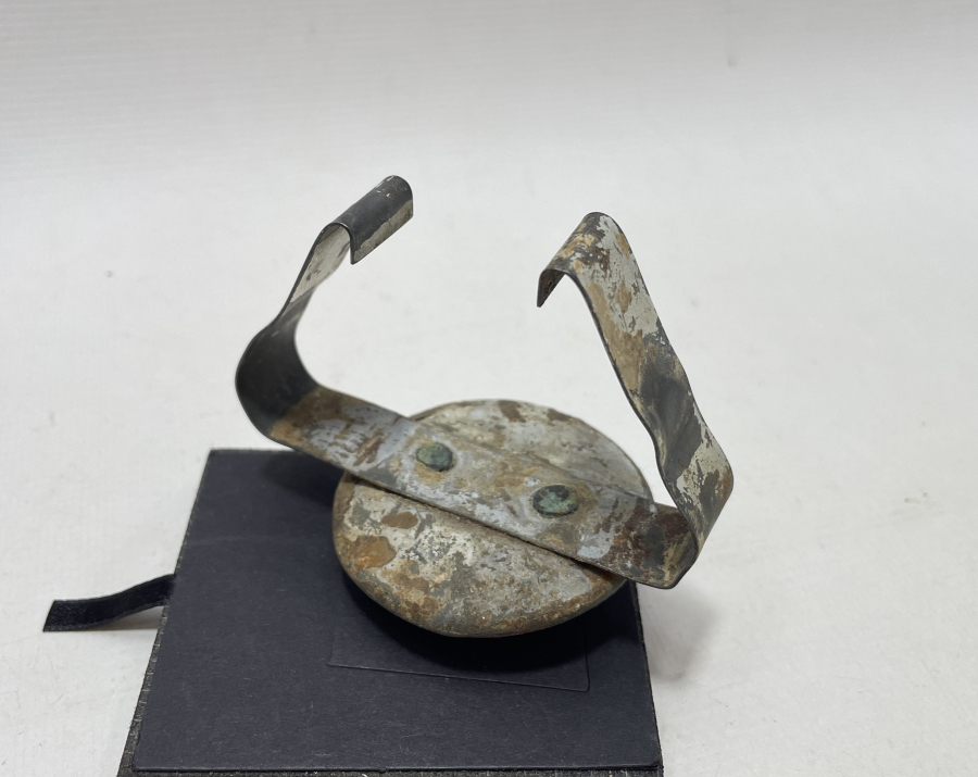 TREN VE DEMİRYOLU TARİHİ: KESTANE FİŞEĞİ