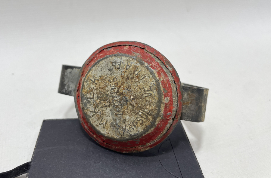 TREN VE DEMİRYOLU TARİHİ: KESTANE FİŞEĞİ