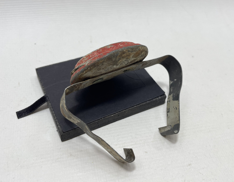 TREN VE DEMİRYOLU TARİHİ: KESTANE FİŞEĞİ