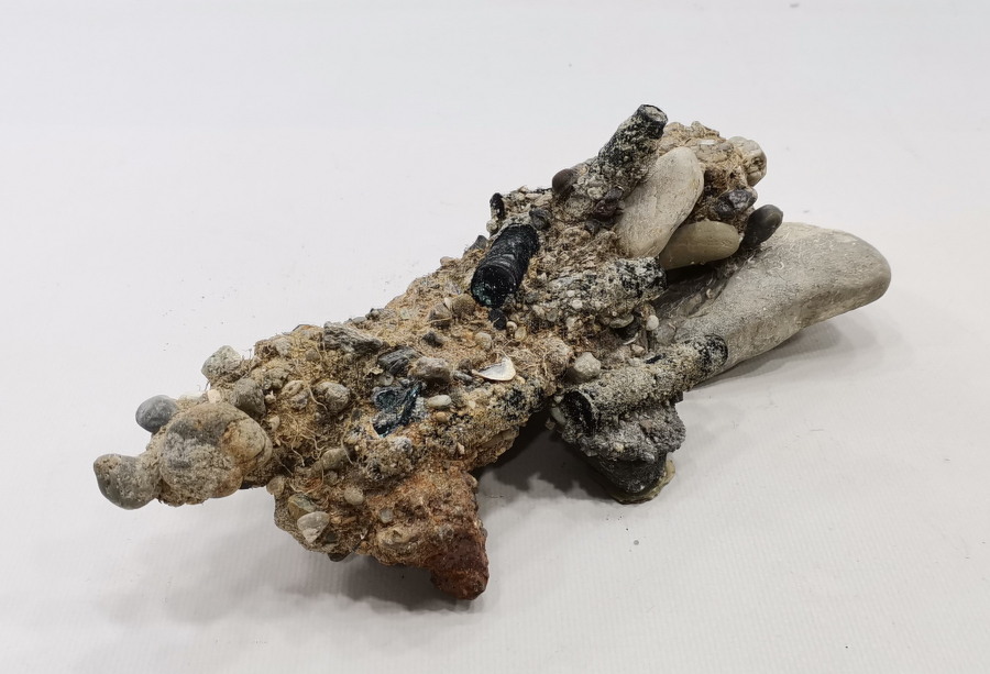 1. DÜNYA SAVAŞI DÖNEMİ FOSİL MERMİ LOTU