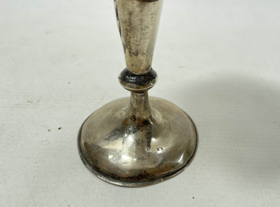 1900 BAŞLARI RUS GÜMÜŞ KARANFİLLİK