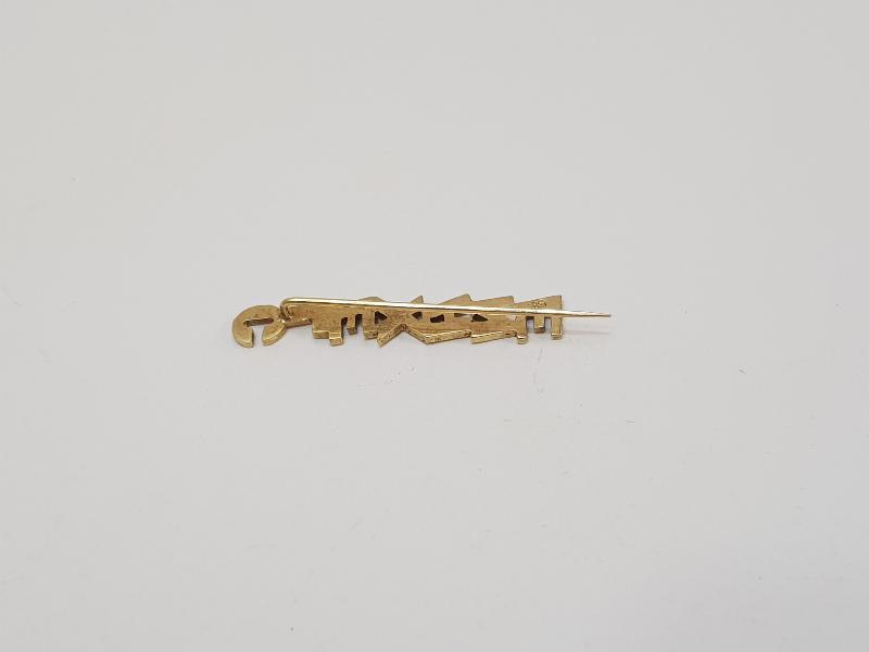 CLEXANE İLAÇ PROMOSYONU ALTIN BROŞ