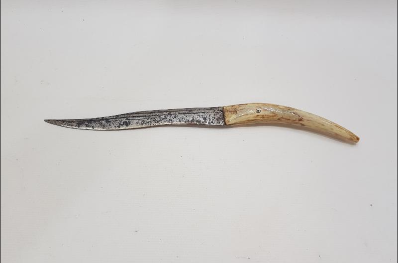 OSMANLI DÖNEMİ GEYİK BOYNUZU SAPLI SALDIRMA BIÇAK