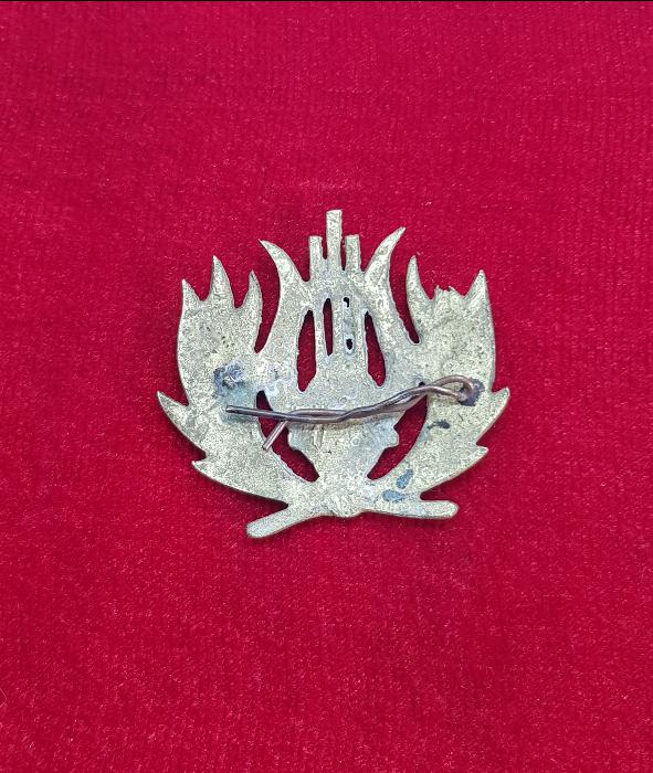 ANTİKA BANDOCU BRÖVESİ 