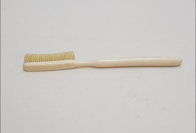 ANTİKA DİŞ FIRÇASI