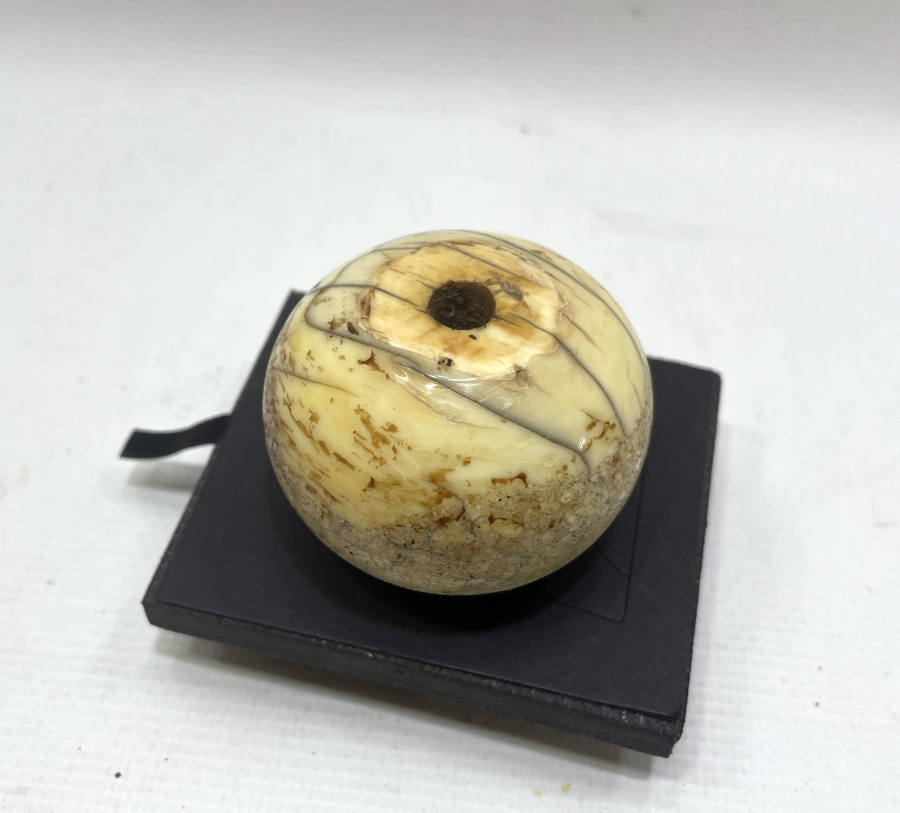 OSMANLI DÖNEMİ DEV BOYDA MORS DİŞİ PİŞTOV ALTLIĞI