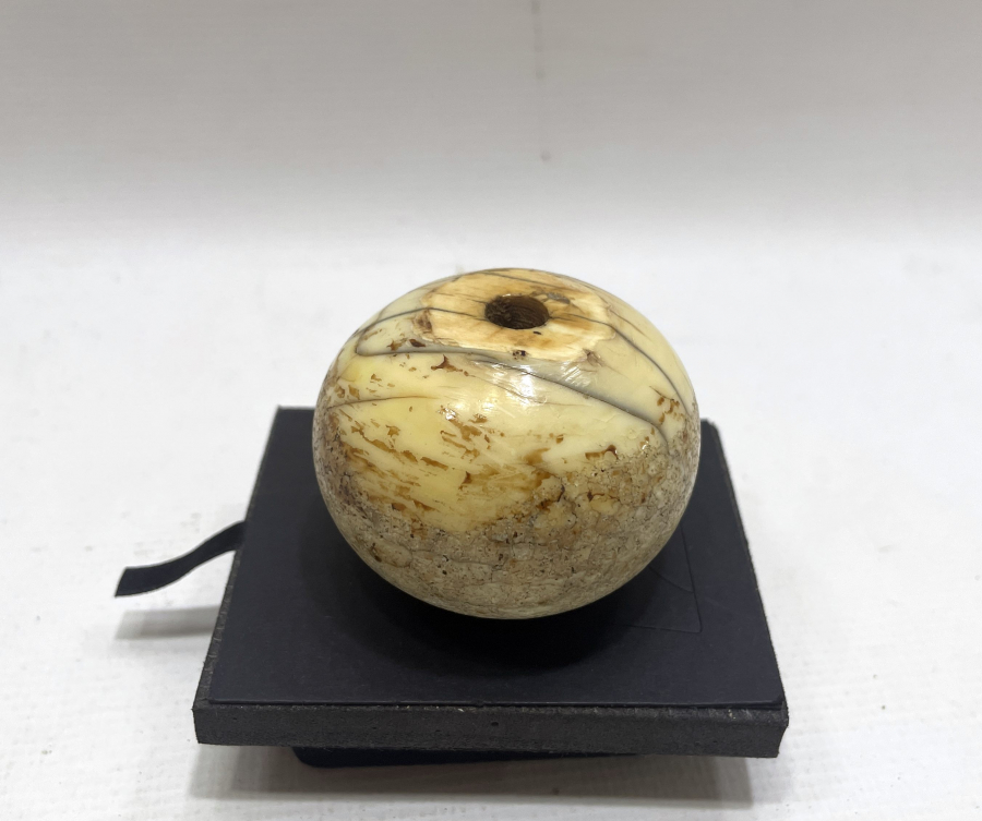 OSMANLI DÖNEMİ DEV BOYDA MORS DİŞİ PİŞTOV ALTLIĞI