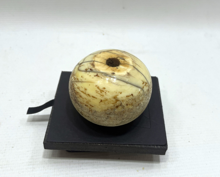 OSMANLI DÖNEMİ DEV BOYDA MORS DİŞİ PİŞTOV ALTLIĞI