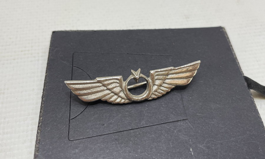 ANTİKA PİLOT BRÖVESİ