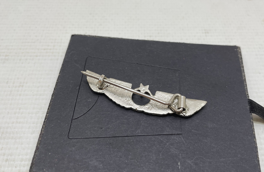 ANTİKA PİLOT BRÖVESİ