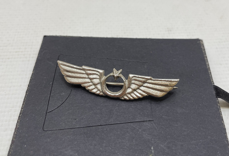 ANTİKA PİLOT BRÖVESİ