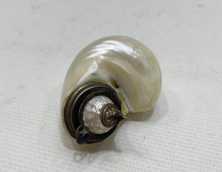 OSMANLI DÖNEMİ DENİZ KABUĞUNDAN MAMUL NADİR HOKKA