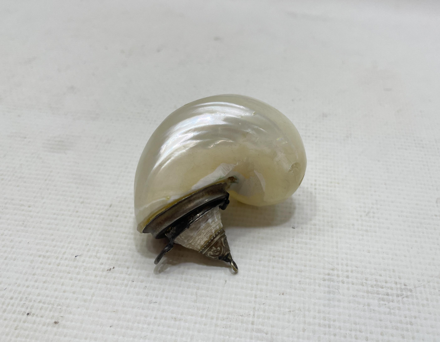 OSMANLI DÖNEMİ DENİZ KABUĞUNDAN MAMUL NADİR HOKKA