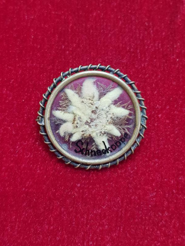 İÇİNDE ÇİÇEK BULUNAN ANTİKA BROŞ 