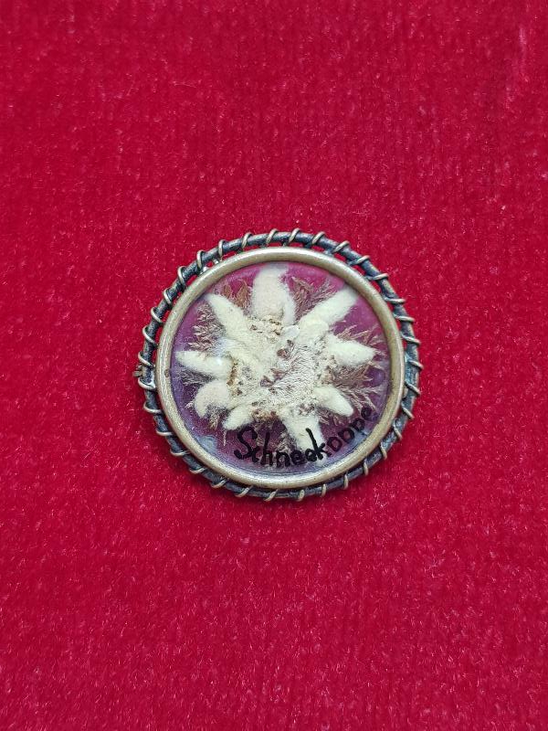 İÇİNDE ÇİÇEK BULUNAN ANTİKA BROŞ 