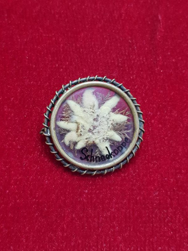 İÇİNDE ÇİÇEK BULUNAN ANTİKA BROŞ 