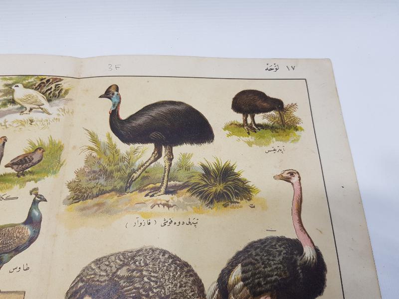 OSMANLICA YAZILI KUŞLAR TEMALI GRAVÜR