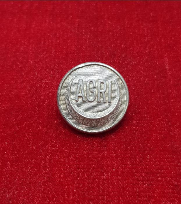 OSMANLI DÖNEMİ ÇOK NADİR GÜMÜŞ KAPLAMA SUBAY DÜĞMESİ 