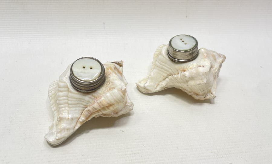 DENİZ KABUĞUNDAN YAPILMIŞ ÇİFT TUZLUK - BAHARATLIK