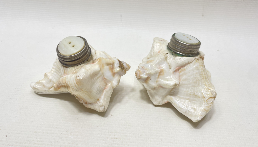 DENİZ KABUĞUNDAN YAPILMIŞ ÇİFT TUZLUK - BAHARATLIK