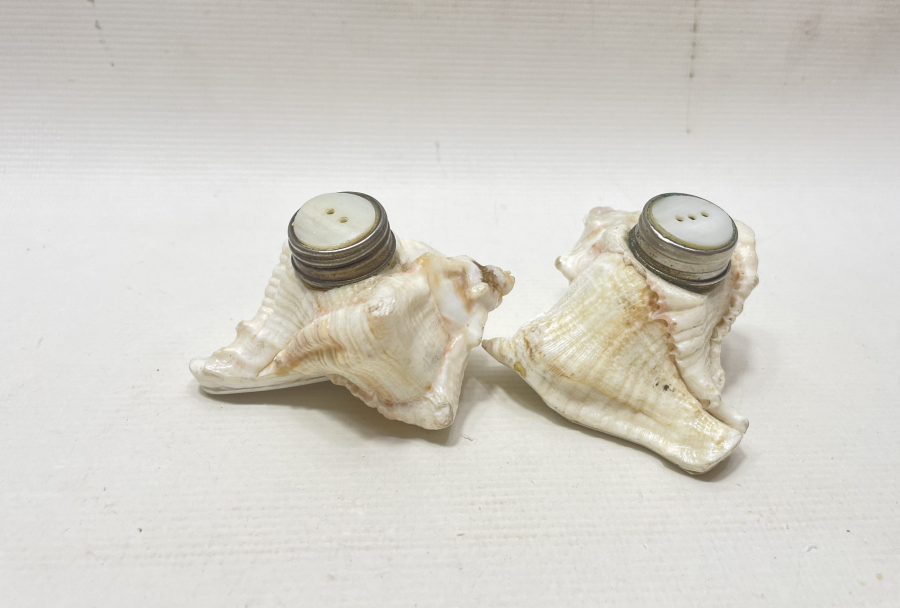 DENİZ KABUĞUNDAN YAPILMIŞ ÇİFT TUZLUK - BAHARATLIK