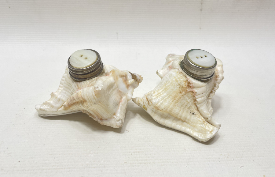 DENİZ KABUĞUNDAN YAPILMIŞ ÇİFT TUZLUK - BAHARATLIK