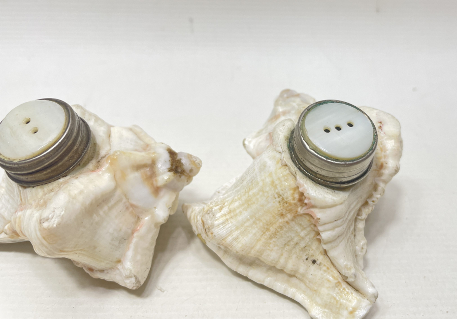 DENİZ KABUĞUNDAN YAPILMIŞ ÇİFT TUZLUK - BAHARATLIK