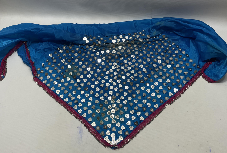 AİLE TASFİRLİ PULLU GELİN ARKALIĞI