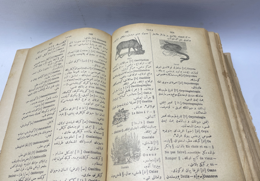 OSMANLI DÖNEMİ ALTIN VARAKLI CİLDİNDE DEV BOYDA OSMANLICA FRANSIZCA SÖZLÜK