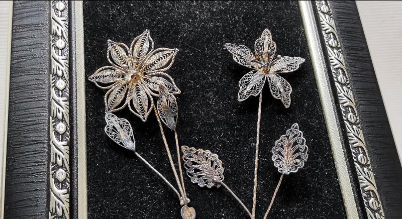 TELKARİ GÜMÜŞ GELİN ÇİÇEĞİ