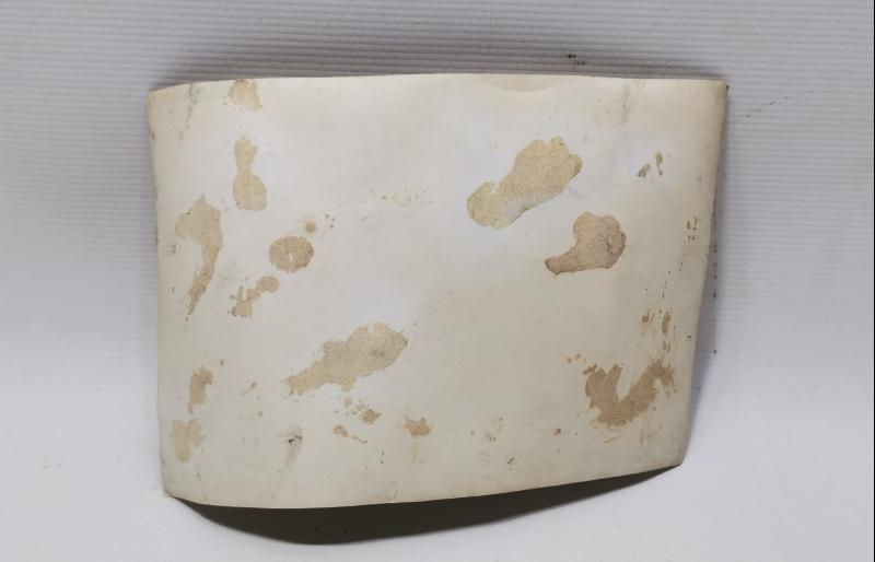 CUMHURİYET İLK YILLAR MUSTAFA KEMAL ATATÜRK ORDU TEFTİŞİNDE ORJİNAL FOTOĞRAF