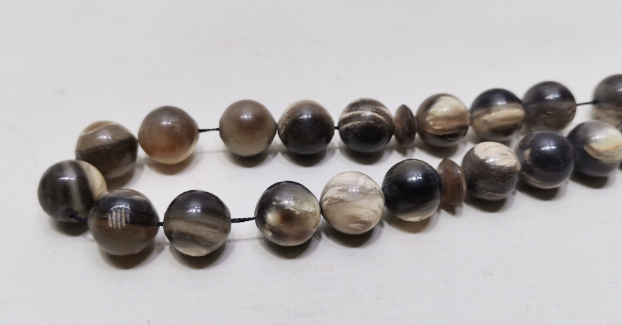 DEV BOYDA MANDA BOYNUZU TESPİH