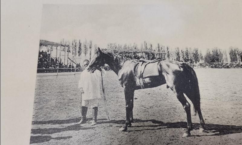 OSMANLI DÖNEMİ BURSA SERGİSİ KAZANAN AT GRAVÜRÜ