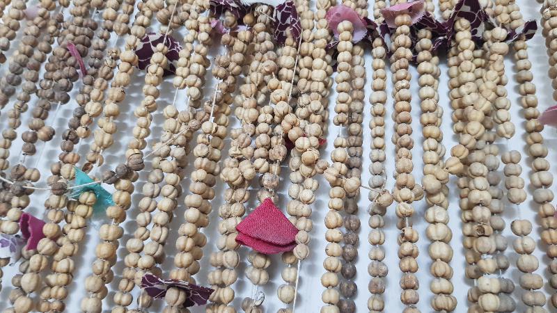 ANTADOLU ŞAMAN KÜLTÜRÜ: NAZAR OTU TOHUMLARINDAN YAPILMIŞ NADİR TÖZ