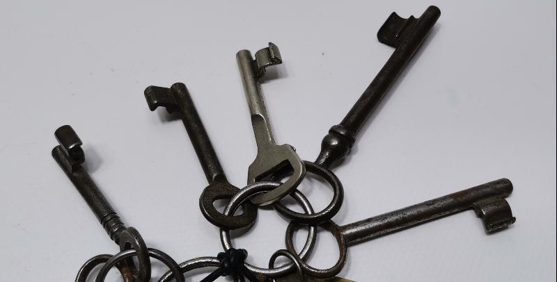 ANTİKA ANAHTAR LOTU