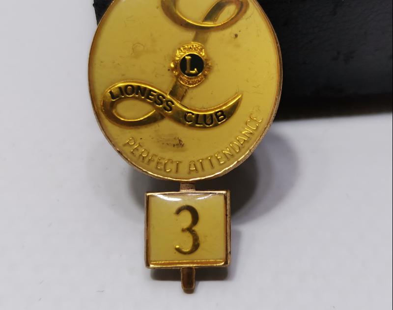 LİONS KULÜBÜ ROZET