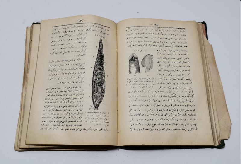 OSMANLICA KİTAP: HAYVANLAR ALEMİ