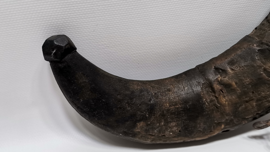 OSMANLI DÖNEMİ BÜYÜK BOY MANDA BOYNUZU KAĞNI YAĞDANLIĞI