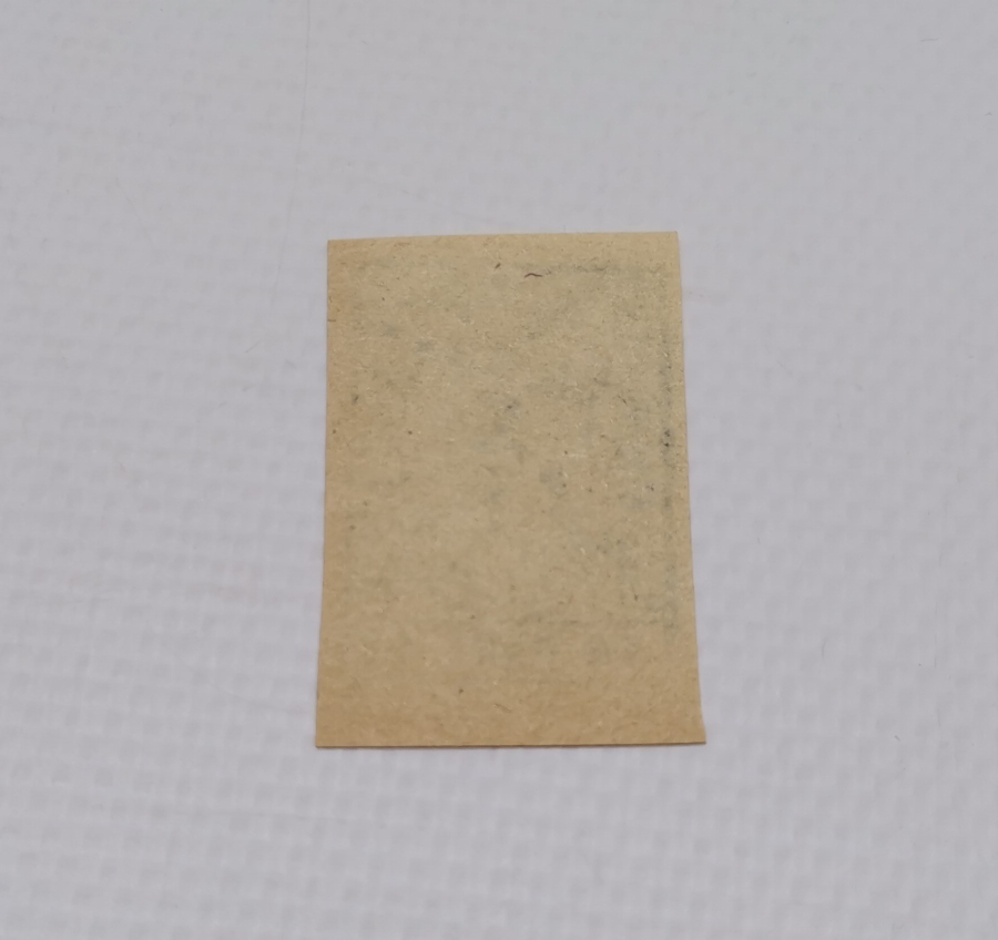 ESAT PAŞA'NIN ARNAVUTLUK DEMİR YOLLARINI YAPARKEN BASTIRDIĞI NADİR 10 PARA