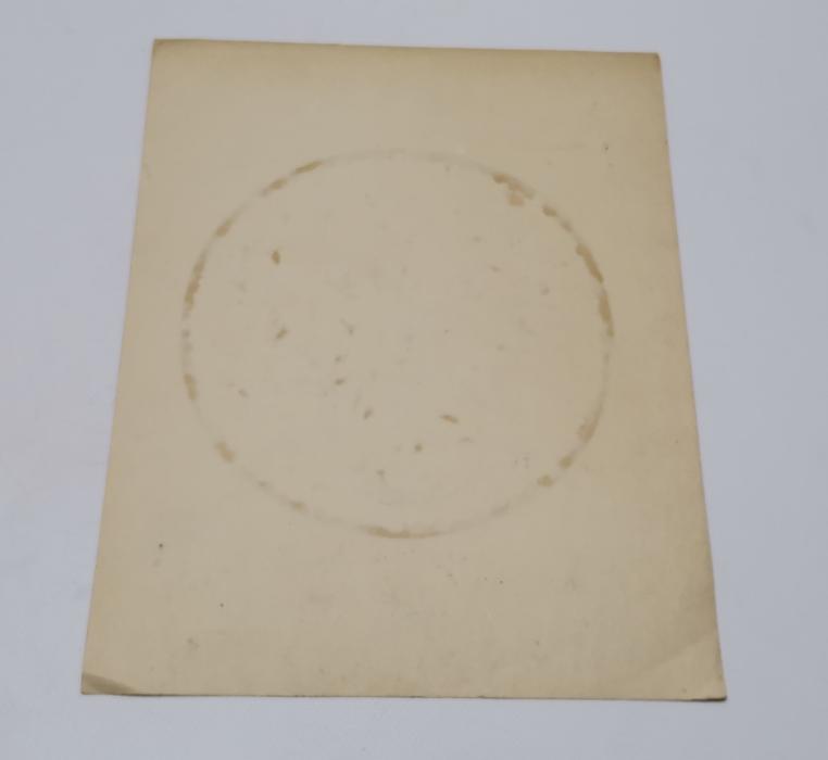 EL ÇİZİMİ GÜLİSTAN ÇİNİ MOTİFİ