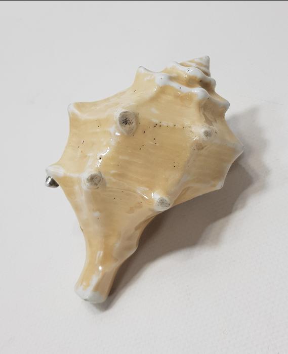 ANTİKA SALYANGOZ FORMLU PORSELEN KÜL TABLASI 