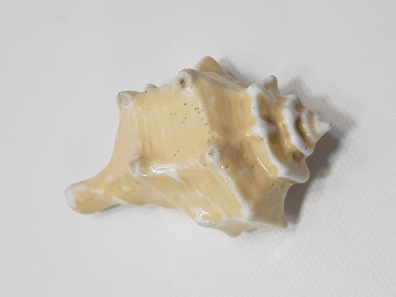 ANTİKA SALYANGOZ FORMLU PORSELEN KÜL TABLASI 